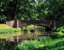 Sehtraining im Bürgerpark