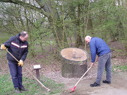 Einsetzen der Baumscheibe durch Mitarbeiter des Bürgerparkvereins Einsetzen der Baumscheibe durch Mitarbeiter des Bürgerparkvereins