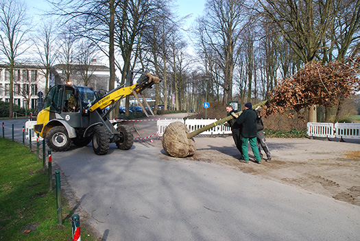 Entladung der Spenderbäume für den Bremer Bürgerpark Entladung der Spenderbäume für den Bremer Bürgerpark