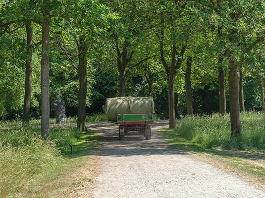 Transport des Heus in die Scheune Transport des Heus in die Scheune